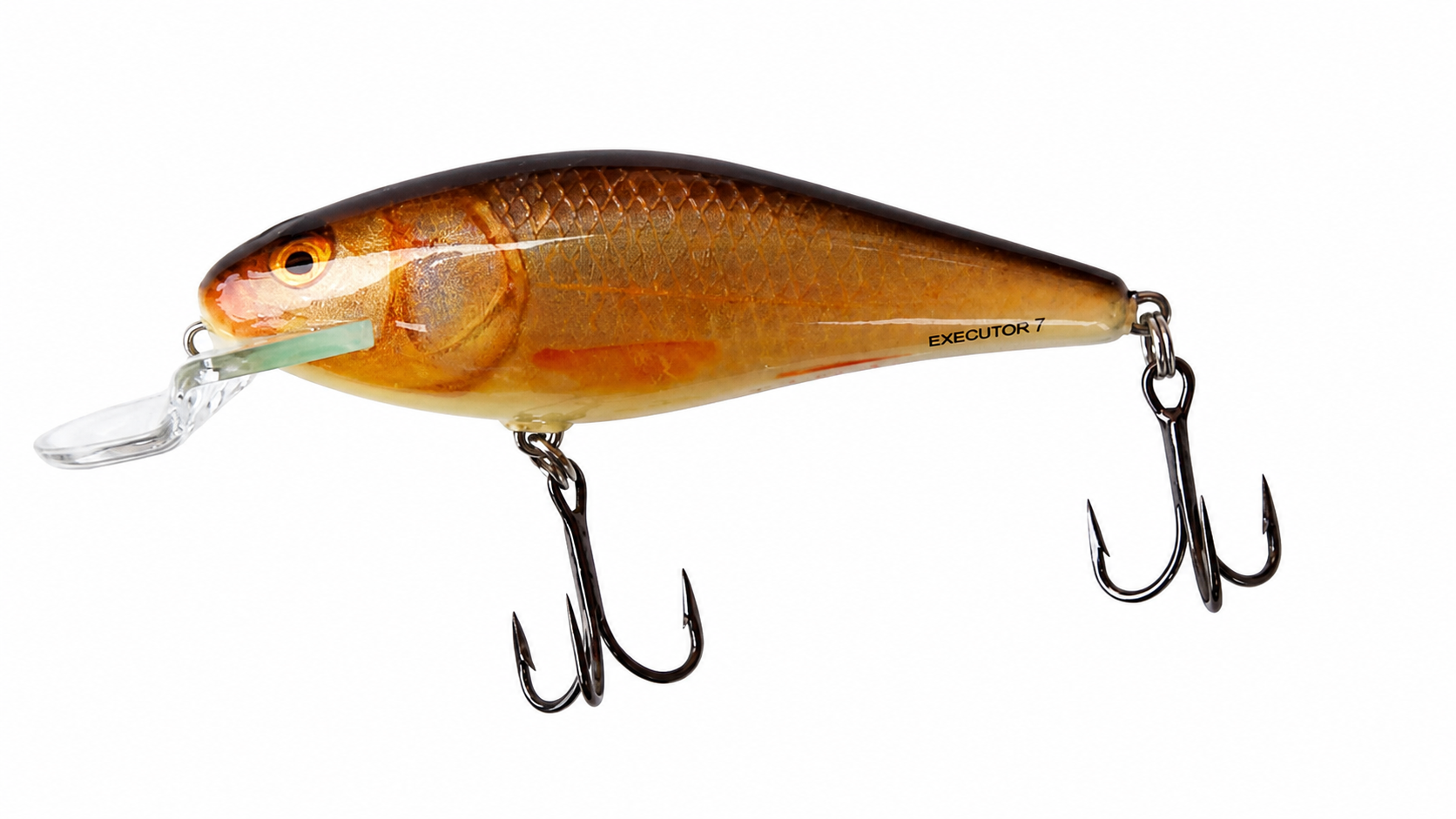 Salmo Executor 7 cm SR RR